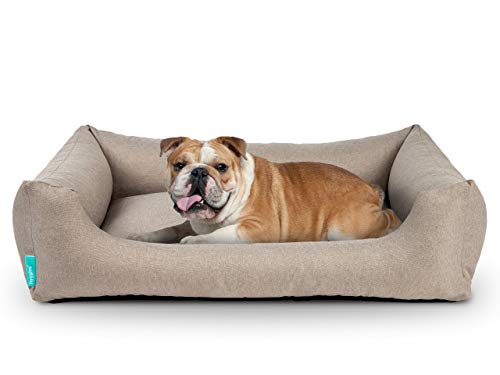 Hyggins Dreamer Pure Hundebett | Bezug abnehmbar und waschbar | Robust und pflegeleicht (S 60 x 44cm, Beigegrau) von Hyggins