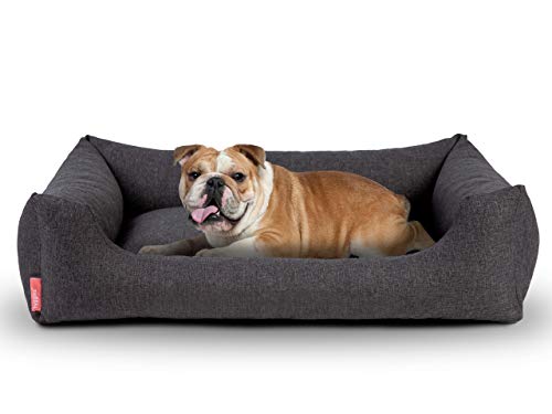 Hyggins Dreamer Pure Hundebett | Bezug abnehmbar und waschbar | Robust und pflegeleicht (S 60 x 44cm, Dunkelgrau) von Hyggins