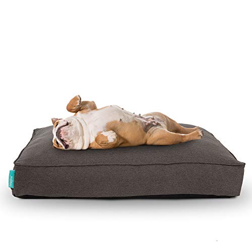 Hyggins Lounger Plus Hundekissen | orthopädisch, Bezug abnehmbar | Boden wasserabweisend (S/M 83 x 67cm, Dunkelgrau) von Hyggins