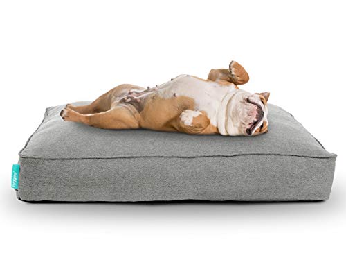 Lounger Plus Hundekissen | orthopädisch, Bezug abnehmbar | Boden wasserabweisend | Made in EU | in Gr. S/M, L, XL | in hellgrau, dunkelgrau, und dunkelgrün (XL 133 x 88cm, Hellgrau) von Hyggins