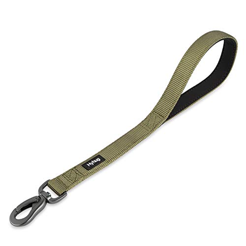 Hyhug verbesserter, haltbarer Nylon-Leine, weicher, schlagfester Griff, 18 Zoll Länge, geeignet für das tägliche Gehen und Training von mittleren und großen Hunden. (18 Zoll, Militärgrün) Hyhug verbesserter, haltbarer Nylon-Leine, weicher, schlagfester Griff, 18 Zoll Länge, geeignet für das tägliche Gehen und Training von mittleren und großen Hunden. (18 Zoll, Militärgrün) von Hyhug