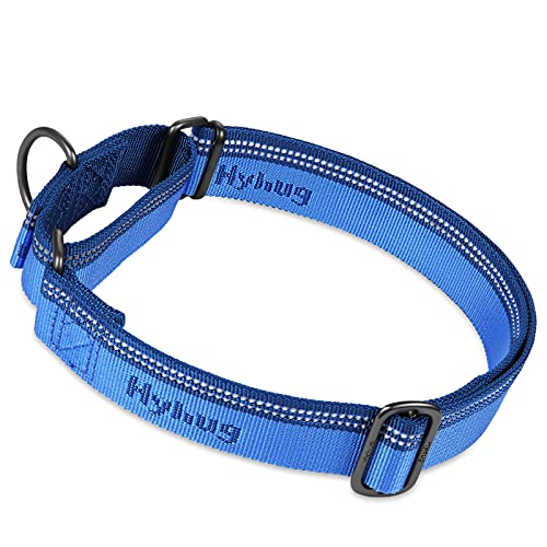 Hyhug 2021 Design, Martingale Nylon Klassische Halsbänder ，Anti-Flucht Hundehalsband. 3M Reflektierender Streifen, Komfortabel Verstellbar, Sicherer Nachtspaziergang, (Kleine, Marina Blue) von Hyhug