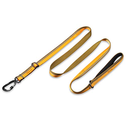 Hyhug Reflektierende Hundeleine aus Nylon, Bequemer Hundegürtelgriff, Einstellbare Länge, Stilvoll, Verschleißfest,Nachtwanderungen Sicher (1800cm, Artisan's Gold) von Hyhug