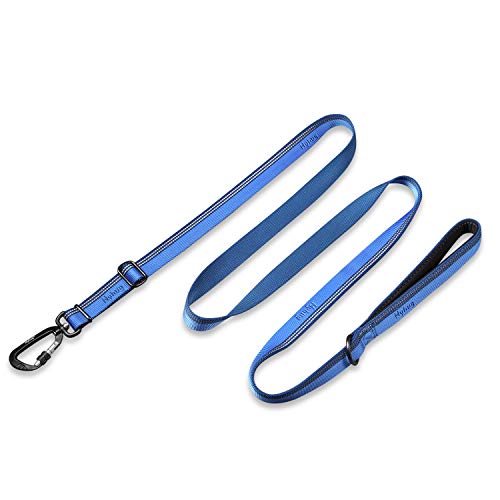 Hyhug Reflektierende Hundeleine aus Nylon, Bequemer Hundegürtelgriff, Einstellbare Länge, Stilvoll, Verschleißfest,Nachtwanderungen Sicher (1800cm, Marina Blue) von Hyhug