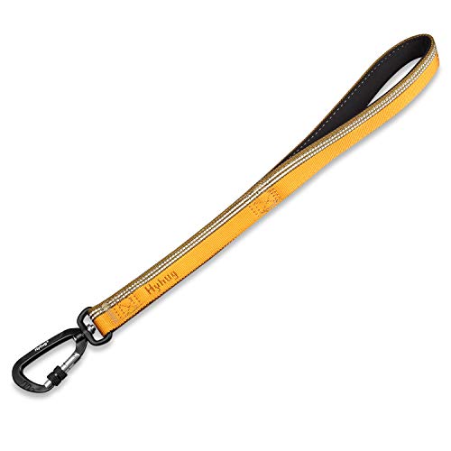 Hyhug Design, Beidseitig 3M Reflektierend Hundeleine Trainingsleine Kurz, Sicherer Nachtspaziergang。Verschleißfeste, Haltbare Kurze Nylon Hundeleine (Länge：46cm, Artisan's Gold) von Hyhug