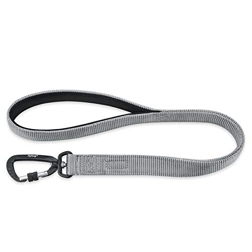 Hyhug hochwertige Nylon-Leine, verbesserte Haltbarkeit, weicher Griff, 24 Zoll lang, für tägliches Gehen und Training mittelgroßer und großer Hunde. (24 Zoll, Schneeregen grau) Hyhug hochwertige Nylon-Leine, verbesserte Haltbarkeit, weicher Griff, 24 Zoll lang, für tägliches Gehen und Training mittelgroßer und großer Hunde. (24 Zoll, Schneeregen grau) von Hyhug