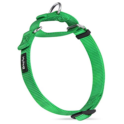 Hyhug langlebiges Nylon-Erstickungshalsband, geeignet für den täglichen Gebrauch und das Training von kleinen, mittleren und großen Hunden (Groß, Limonengrün) von Hyhug