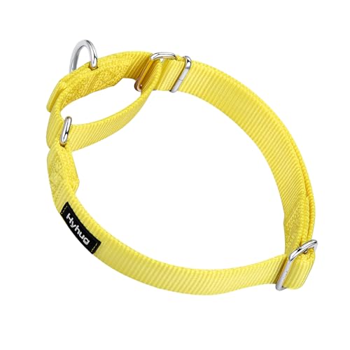 Hyhug Martingale-Hundehalsband, Nylon, strapazierfähig, für große, mittelgroße und kleine Jungen und Mädchen, zum Spazierengehen, Training, täglichen Gebrauch. (klein, leuchtend, gelb) von Hyhug