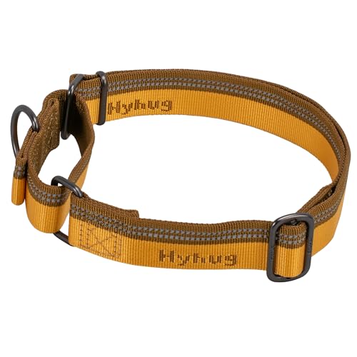 Hyhug Martingale Nylon Klassische Halsbänder ，Anti-Flucht Hundehalsband. 3M Reflektierender Streifen, Komfortabel Verstellbar, Sicherer Nachtspaziergang (Groß, Artisan's Gold) von Hyhug