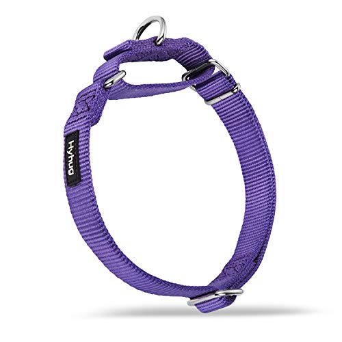 Hyhug Design Metallzubehör einfarbiges Nylonhalsband, Martingale Hundehalsband. (Klein, Ultraviolettes Licht) von Hyhug