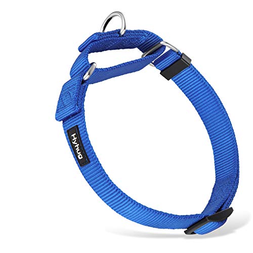 Hyhug langlebiges Nylon-Erstickungshalsband, geeignet für den täglichen Gebrauch und das Training von kleinen, mittleren und großen Hunden (Groß, Hellblau) von Hyhug