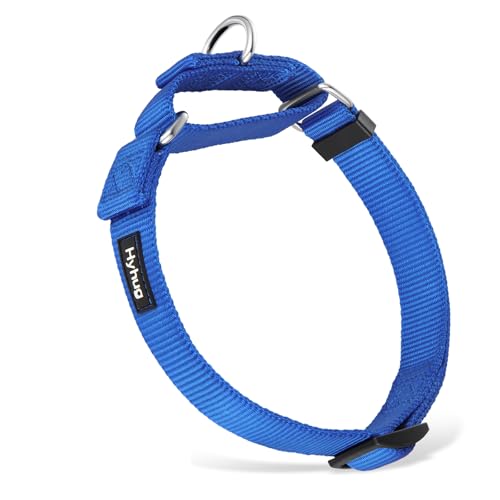 Hyhug Martingal Hundehalsband mit Schnalle: Ausbruchsicher, rutschfestes Robustes Polyester, farbechtes verstellbares Haustierzubehör für kleine Hunderassen (Klein, Hellblau) Hyhug Martingal Hundehalsband mit Schnalle: Ausbruchsicher, rutschfestes Robustes Polyester, farbechtes verstellbares Haustierzubehör für kleine Hunderassen (Klein, Hellblau) von Hyhug