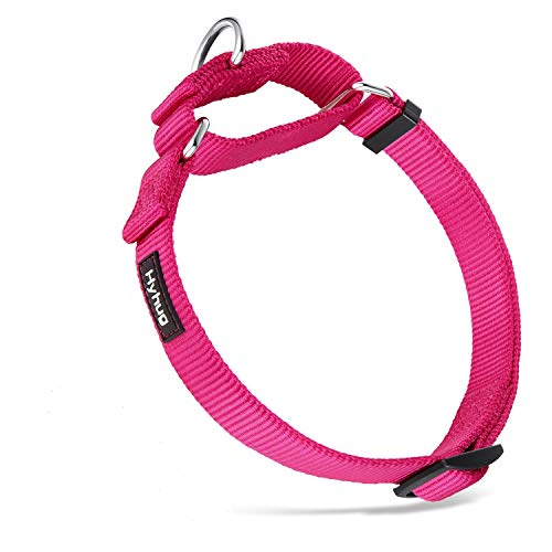 Hyhug Martingal Hundehalsband mit Schnalle: Ausbruchsicher, rutschfestes Robustes Polyester, farbechtes verstellbares Haustierzubehör für kleine Hunderassen (Klein, Rosenrot) Hyhug Martingal Hundehalsband mit Schnalle: Ausbruchsicher, rutschfestes Robustes Polyester, farbechtes verstellbares Haustierzubehör für kleine Hunderassen (Klein, Rosenrot) von Hyhug
