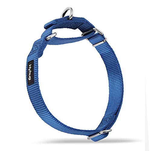 Hyhug Design Metallzubehör einfarbiges Nylonhalsband, Martingale Hundehalsband.(Mittel, Klassisches Blau) von Hyhug