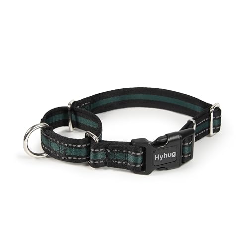 Hyhug Pets Verstellbares Martingale-Hundehalsband mit Schnellverschluss-Schnalle, farbecht, strapazierfähig, Anti-Ausbruch, Training, rutschfestes Welpenhalsband (reflektierendes Grün, Größe S) von Hyhug
