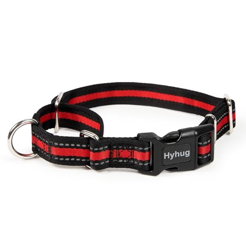 Hyhug Reflektierendes Martingale-Hundehalsband mit Schnalle: ausbruchsicher, rutschfest, strapazierfähiges Nylon, farbecht, verstellbar, Haustierzubehör für kleine Rassen (reflektierendes Rot, klein) von Hyhug
