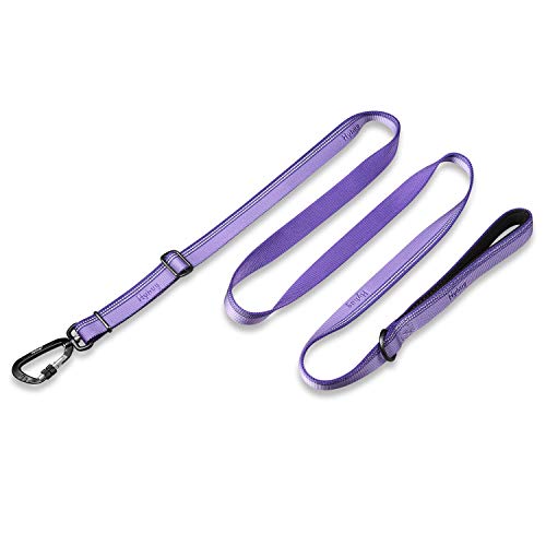 Hyhug Reflektierende Hundeleine aus Nylon, Bequemer Hundegürtelgriff, Einstellbare Länge, Stilvoll, Verschleißfest,Nachtwanderungen Sicher (1800cm, Paisley Lila) von Hyhug