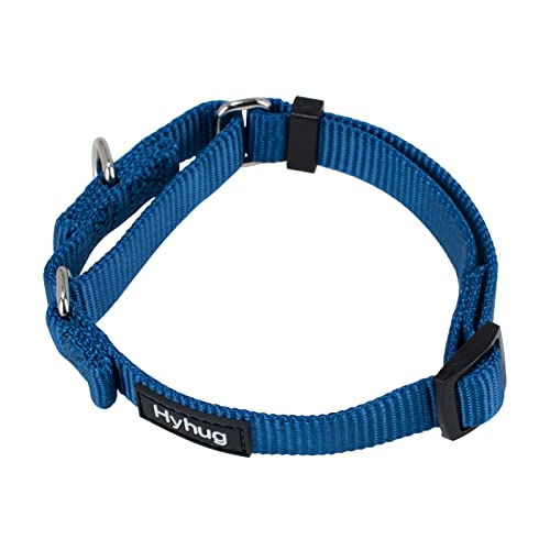 Hyhug Martingal Hundehalsband mit Schnalle: Ausbruchsicher, rutschfestes Robustes Polyester, farbechtes verstellbares Haustierzubehör für kleine Hunderassen (Klein, Klasse Blau 2) von Hyhug