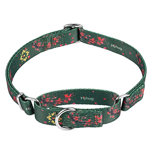 Hyhug Fabelhaftes Halsband mit Hunden, die Haustiere entfliehen, verbessertes, ausbruchsicheres Martingale-Halsband für Hunde, den täglichen Gebrauch, Spazierengehen und Training von Hyhug