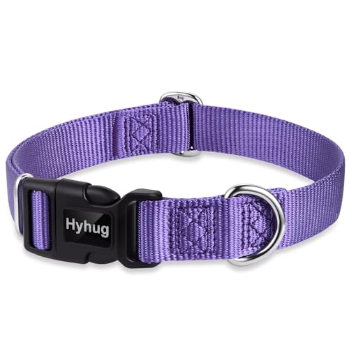 Hyhug entwirft Klassische grundlegende Hundehalsbänder, einfarbiges Nylon, sichere Schnellschnallen, entfernen, und kann Hunde-ID-Tags aufhängen (Mittlere, Violett) von Hyhug