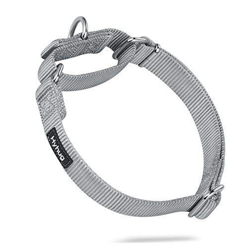 Hyhug entwirft das Klassische Nylon einfarbige Martinale Hundehalsband für Fluchtprävention, Halsband Hund，tägliche und Trainingsnutzung (Groß, Sleet grau) von Hyhug