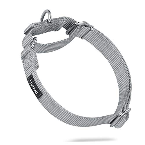 Hyhug Martingal Hundehalsband mit Schnalle: Ausbruchsicher, rutschfestes Robustes Polyester, farbechtes verstellbares Haustierzubehör für mittelgroße Hunderassen (Mittel, Sleet grau) von Hyhug