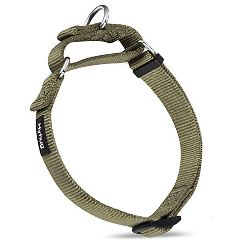 Hyhug langlebiges Nylon-Erstickungshalsband, geeignet für den täglichen Gebrauch und das Training von kleinen, mittleren und großen Hunden (Groß, Militärgrün) von Hyhug