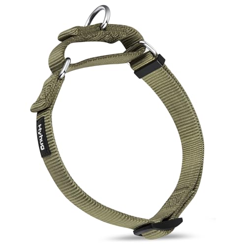Hyhug langlebiges Nylon-Erstickungshalsband, geeignet für den täglichen Gebrauch und das Training von kleinen, mittleren und großen Hunden (Klein, Militärgrün) von Hyhug