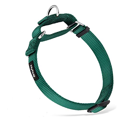 Hyhug langlebiges Nylon-Erstickungshalsband, geeignet für den täglichen Gebrauch und das Training von kleinen, mittleren und großen Hunden (Mittel, Dunkelgrün) von Hyhug