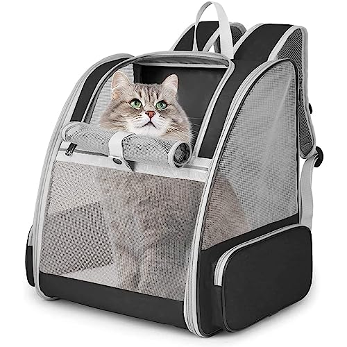 Hykiee Hunderucksack Katzenrucksack, Haustier Rucksack für Kleine Hunde Welpen bis 6kg Katzenbis 8kg, Atmungsaktive und Faltbar Transportbox mit Fenster und Innerer Sicherheitsleine Wandern, Schwarz von Hykiee