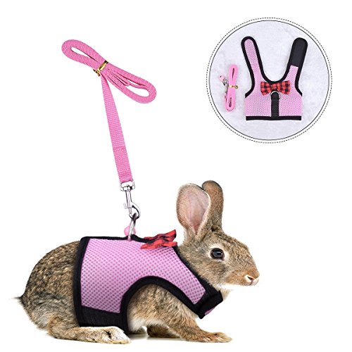 Bunny Kitten Harness No Pull Cat Leash Stilvolle Weste Geschirr für Kleintiere Verstellbar Weich Atmungsaktiv Walking Harness Set (Pink, L) von Hypeety