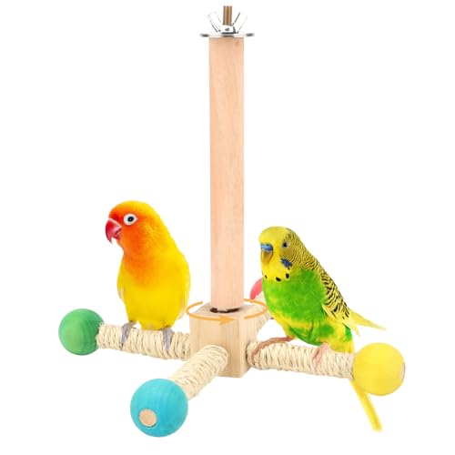 Hypeety Drehbare Vogel-Sitzstange, Spielzeug, Naturholz, interaktives Übungsrad, Papageien-Sitzstange, Spielzeug, drehbare Sitzstange für Vögel, Papageien, Sittiche, Wellensittiche, Lovebirds Finken, Hypeety Drehbare Vogel-Sitzstange, Spielzeug, Naturholz, interaktives Übungsrad, Papageien-Sitzstange, Spielzeug, drehbare Sitzstange für Vögel, Papageien, Sittiche, Wellensittiche, Lovebirds Finken, von Hypeety