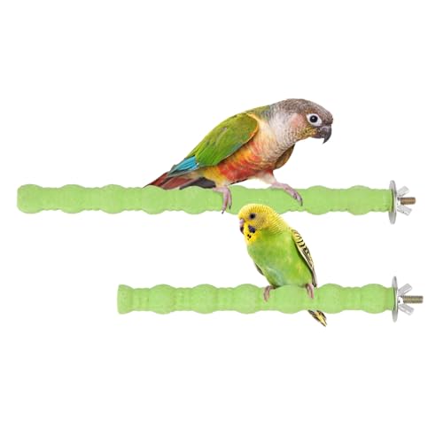 Hypeety Sitzstange aus Holz, Pfotenabschleifstab, Spielzeug, Vogelkäfigständer, Plattform für Vögel, Papageien, Wellensittiche, Sittiche, Nymphensittiche, Käfigzubehör (17,8 cm/25,4 cm) (grün) von Hypeety