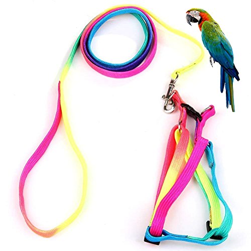 Hypeety Vogelgeschirr und Leine mit Schnalle, bezauberndes Regenbogen-Design, sichere Papageienleine, Haustiergeschirr, Outdoor, verstellbares Anti-Biss-Trainingsseil für Ara, große Vogel (L: 1,5 cm × Hypeety Vogelgeschirr und Leine mit Schnalle, bezauberndes Regenbogen-Design, sichere Papageienleine, Haustiergeschirr, Outdoor, verstellbares Anti-Biss-Trainingsseil für Ara, große Vogel (L: 1,5 cm × von Hypeety