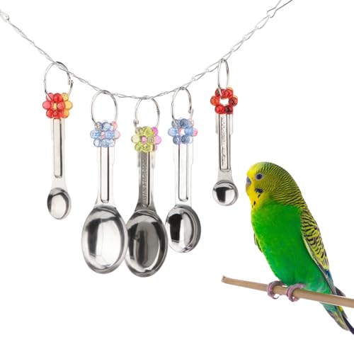 Hypeety Vogelglockenspielzeug aus Edelstahl, robuste Hängelöffel, Ringe, sicherer Metallkäfig, hängende Glocken, Spielzeug für Kakadus, Aras, afrikanische graue große Papageien und Vögel (5 Löffel) Hypeety Vogelglockenspielzeug aus Edelstahl, robuste Hängelöffel, Ringe, sicherer Metallkäfig, hängende Glocken, Spielzeug für Kakadus, Aras, afrikanische graue große Papageien und Vögel (5 Löffel) von Hypeety