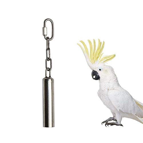 Hypeety Vogelspielzeug aus Edelstahl für Papageien, Aras, Graupapageien, kleine Kakadus, Sittiche, Nymphensittiche, Käfigständer von Hypeety