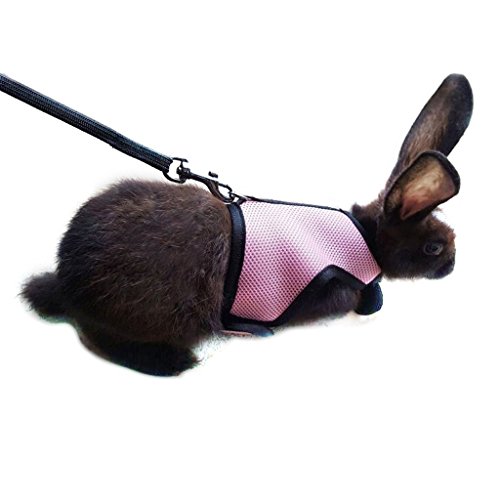 Kaninchen-Geschirr für kleine Tiere, verstellbares weiches Geschirr und Leine, Set für Kaninchen, Katzen, kleine Haustiere (15 cm - 20 cm), rosa) von Hypeety