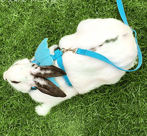 Kaninchengeschirr mit Engelsflügel-Leine für Hunde und Katzen, Haustier-Weste und passender Leine, Blau von Hypeety