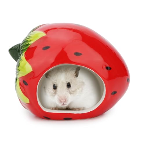 Zwerghamster Versteck Niedliche Cartoon-Form Hamsterhaus Chinchilla Mini Hütte Kleintier Keramik Versteck Höhle (Erdbeere) von Hypeety