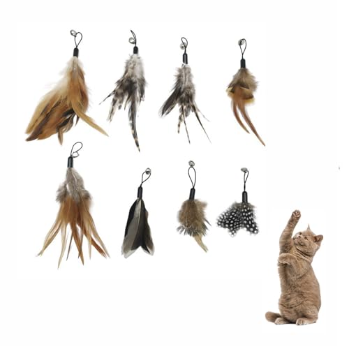 Hyxodjy 8 Stück Katzen Federspielzeug, Katzenspielzeug Set Katzenspielzeug Federn Ersatz Cat Feather Toys Katzenspielzeug mit Federn Interaktives Katzenspielzeug für Katzen und Kätzchen Hyxodjy 8 Stück Katzen Federspielzeug, Katzenspielzeug Set Katzenspielzeug Federn Ersatz Cat Feather Toys Katzenspielzeug mit Federn Interaktives Katzenspielzeug für Katzen und Kätzchen von Hyxodjy