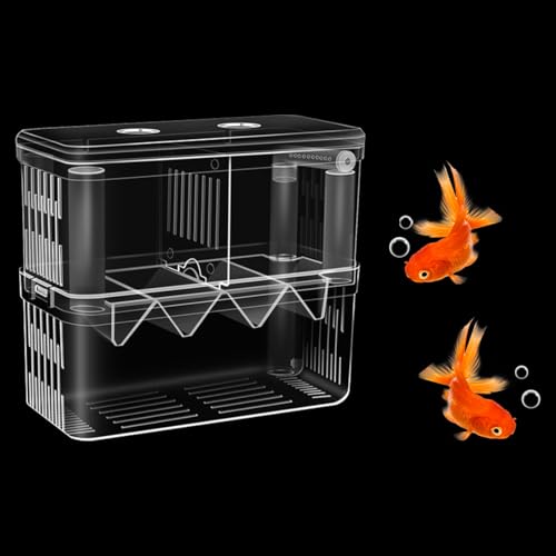HyzaPhix Doppelzimmer Aquarium Klein, Transparent Aquarium Fischbrutkasten, Garnelen Aufzuchtbecken Aquarium Garnelen Bequemer für Sie, Zierfische und Garnelen zu Beobachten(groß) von HyzaPhix