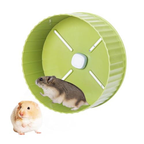 HyzaPhix Hamsterrad, 17cm Laufrad Hamster Leise Hamster Spielzeug, rutschfeste Laufscheibe für Totoro Mouse Eichhörnchen Chinchillas Kleintier Haustier (Grün) von HyzaPhix
