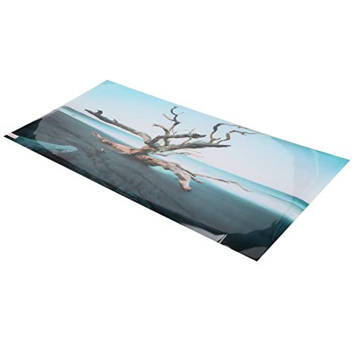 Hztyyier Aquarium-Hintergrundposter, Aquarium-Hintergrunddekor, Wasserdichter Himmel, Verwelkter Baum für Aquarium (122 * 50 cm) von Hztyyier