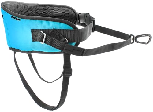 One Gurtschlaufe (Blau) von I-dog