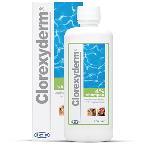 Clorexyderm 4% Shampoo für Hunde, Katzen & Pferde | Tiefenreinigung & Fellpflege | Unterstützt Hautfeuchtigkeit & Frische | Sanfte & Effektive Formel | 200ml Clorexyderm 4% Shampoo für Hunde, Katzen & Pferde | Tiefenreinigung & Fellpflege | Unterstützt Hautfeuchtigkeit & Frische | Sanfte & Effektive Formel | 200ml von ICF