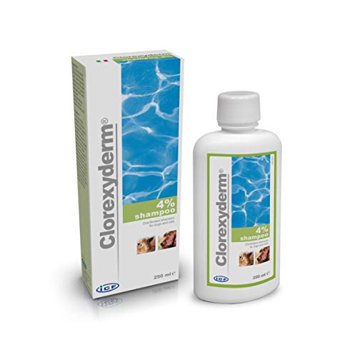 ICF Clorexyderm® Shampoo 4% für Hunde und Katzen - 250 ml von ICF