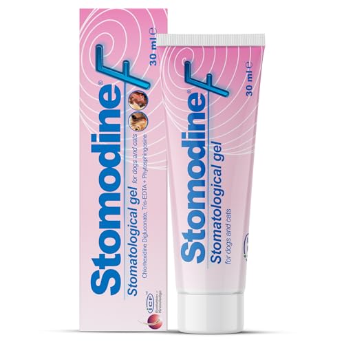 Stomodine F 30ml Stomodine F 30ml von ICF