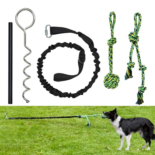 IAIGOGO Hundespielzeug, interaktives Spielzeug für den Außenbereich, mit Pfahl für kleine und mittelgroße Hunde, langlebiges Zerrspielzeug für Hof, Park, Camping von IAIGOGO