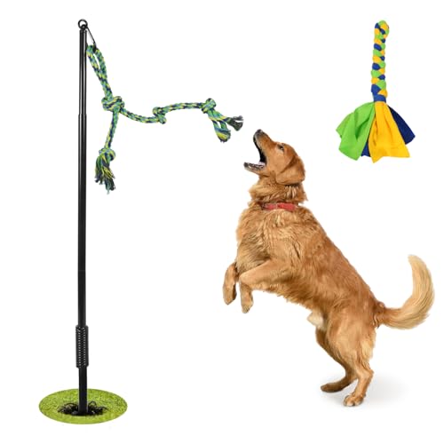 IAIGOGO Outdoor Tauziehen Hundespielzeug, interaktives Hundespielzeug mit Kauseil, Übungsstange mit Metallfeder-Kit für mittelgroße und große Hunde zum Trainieren und Spaß beim Solo-Spielen IAIGOGO Outdoor Tauziehen Hundespielzeug, interaktives Hundespielzeug mit Kauseil, Übungsstange mit Metallfeder-Kit für mittelgroße und große Hunde zum Trainieren und Spaß beim Solo-Spielen von IAIGOGO