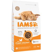 IAMS Advanced Nutrition Adult Cat mit Huhn - 3 kg von Iams